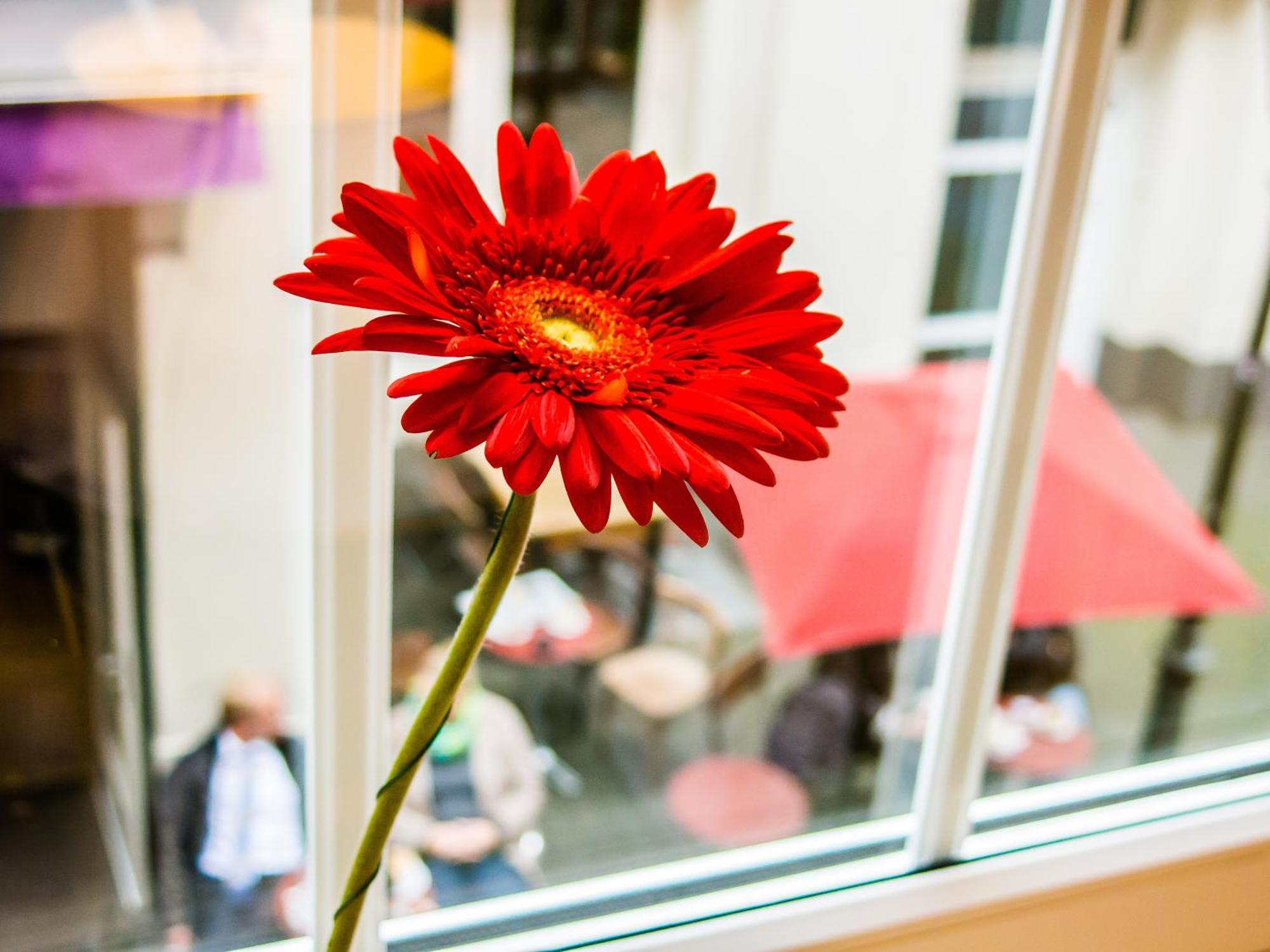 Soho Altstadt Urban Stay Hotel 3*